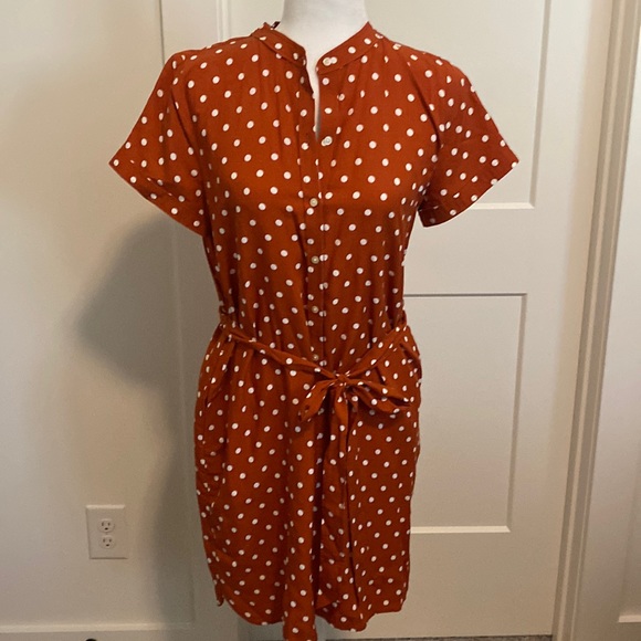 LOFT Dresses & Skirts - NWT Loft Petite Polka Dot Dress Sz MP